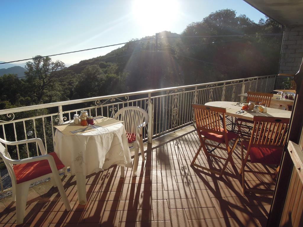 Casa Solotti Guest House Nuoro  Ngoại thất bức ảnh