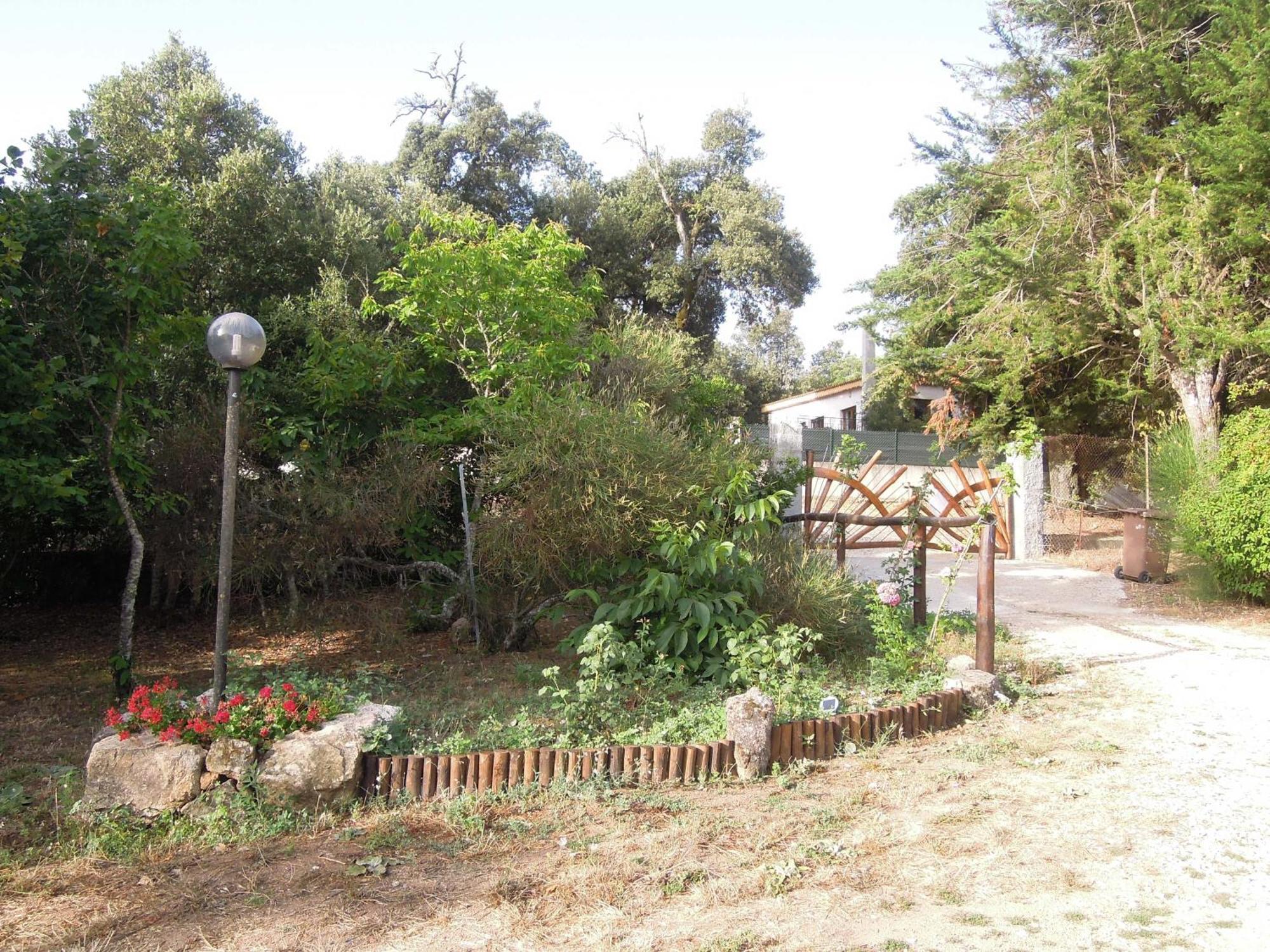 Casa Solotti Guest House Nuoro  Ngoại thất bức ảnh
