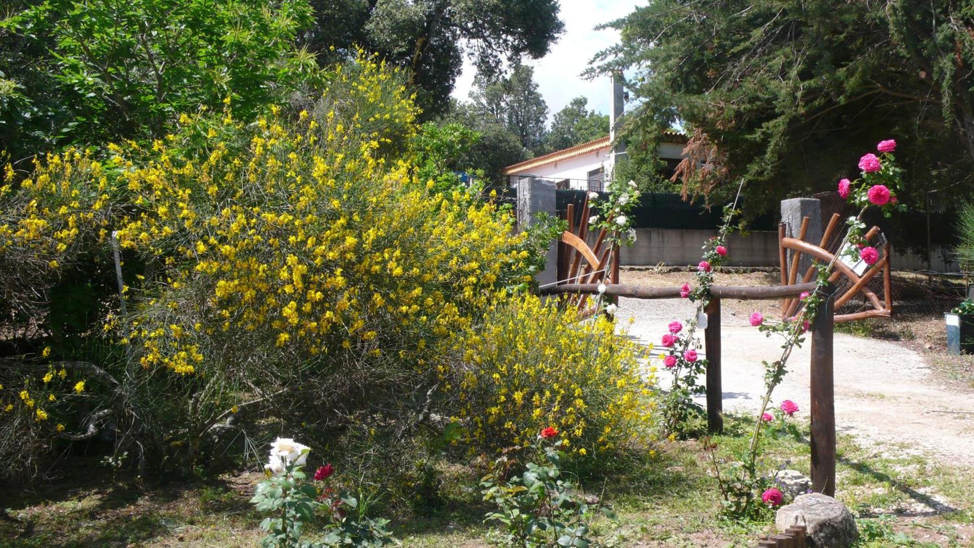 Casa Solotti Guest House Nuoro  Ngoại thất bức ảnh
